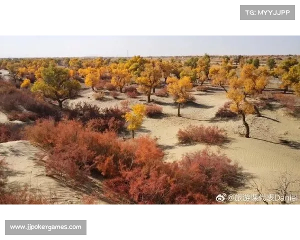海港新星吾米提江登场，新生代轮换成效显著